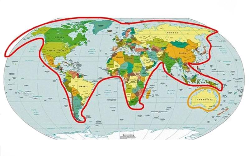 Единственно верная карта мира