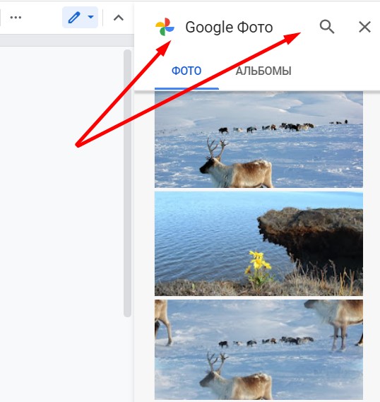 Раздел «Google Фото» откроется справа, и вы сможете воспользоваться поиском